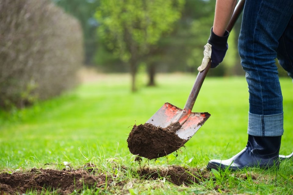El Devocional: No Caves Pozos