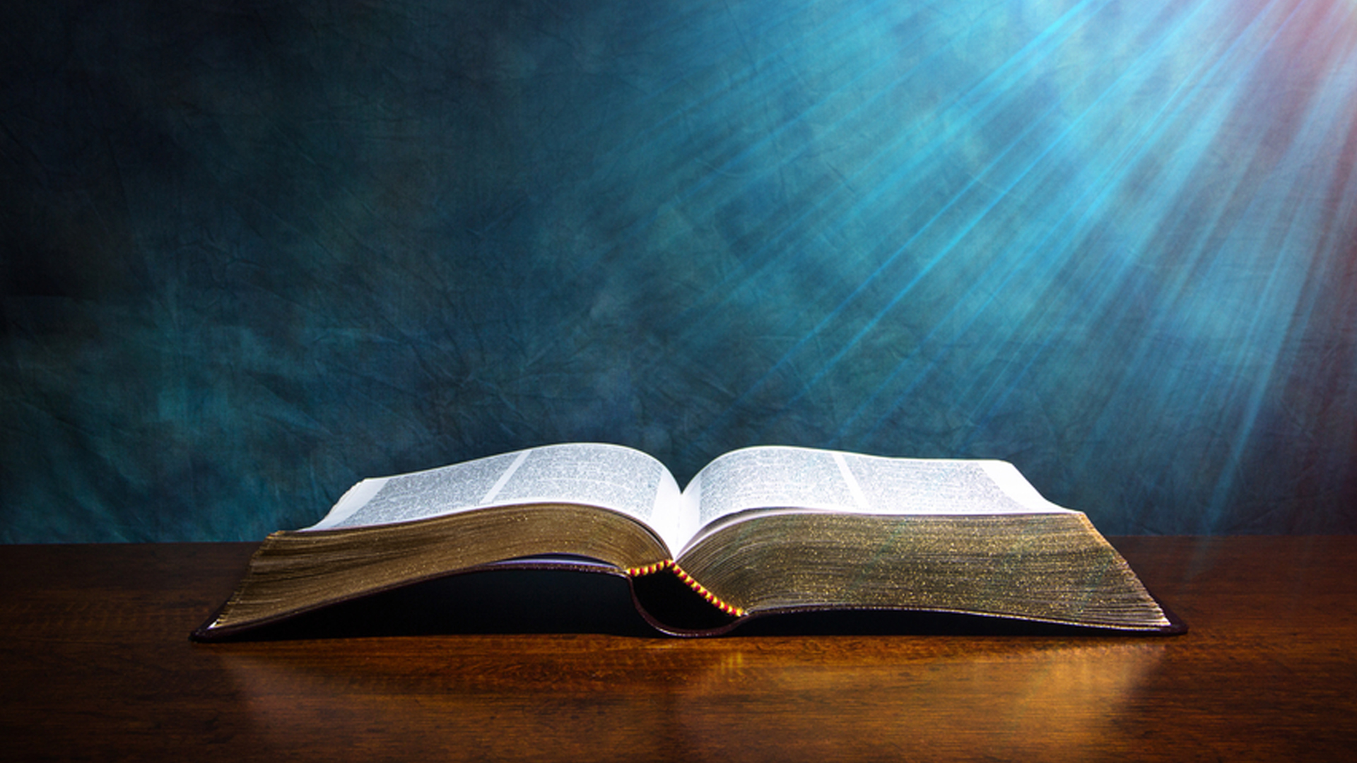 El Devocional: Un Salmo Para Protección