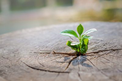 El Devocional: Con Gran Esperanza